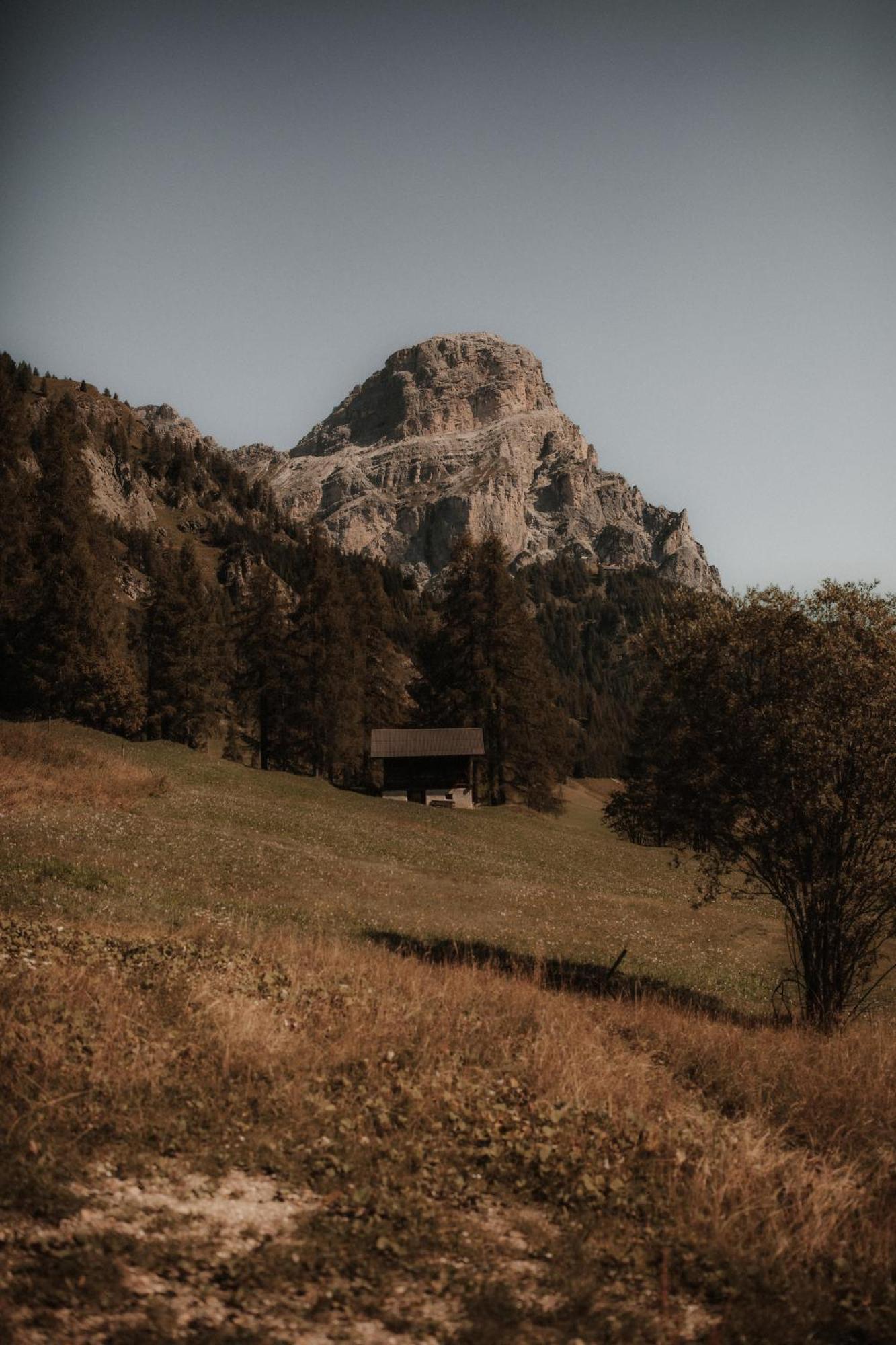 Chalet Roenn Colfosco Exterior photo